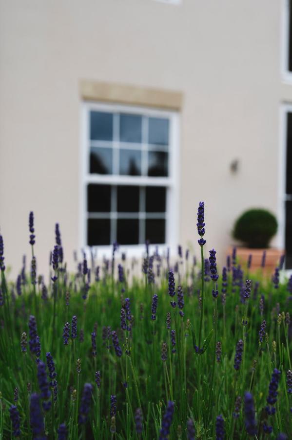 Large Country House - Hot Tub - Pool Table - Bbq - 5 Bedrooms - Log Burner Three Legged Cross Eksteriør bilde
